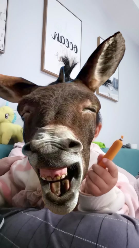 驴有嘴唇吗_驴什么大嘴