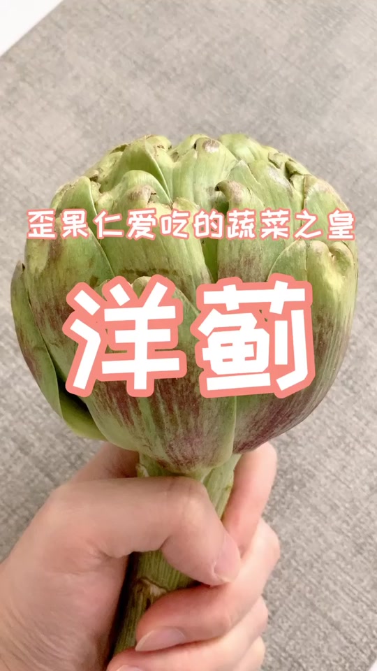 洋蓟拼音怎么读