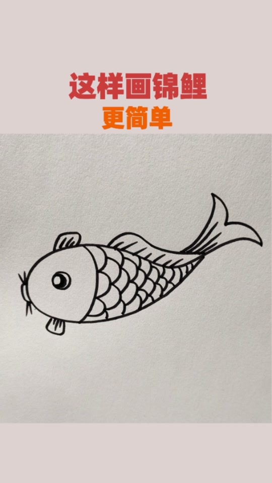 锦鲤简笔画带颜色_锦鲤简笔画可爱