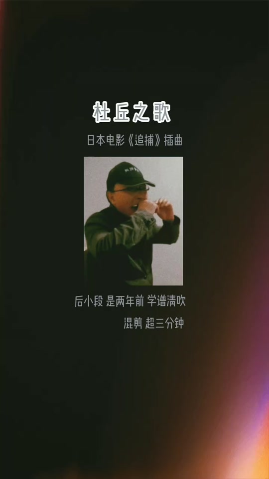 追捕主题曲24孔复音c调口琴简谱