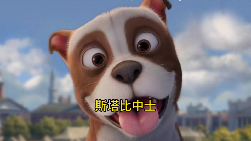 斯达比中士动画电影_动画片斯达比中士狗狗