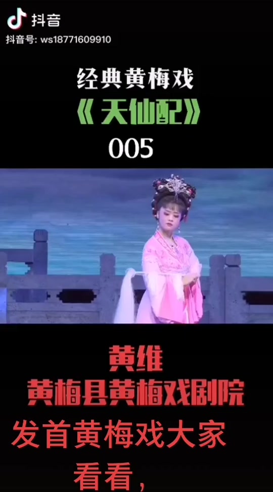 黄梅县黄梅戏剧院演员许雪芹 - 抖音