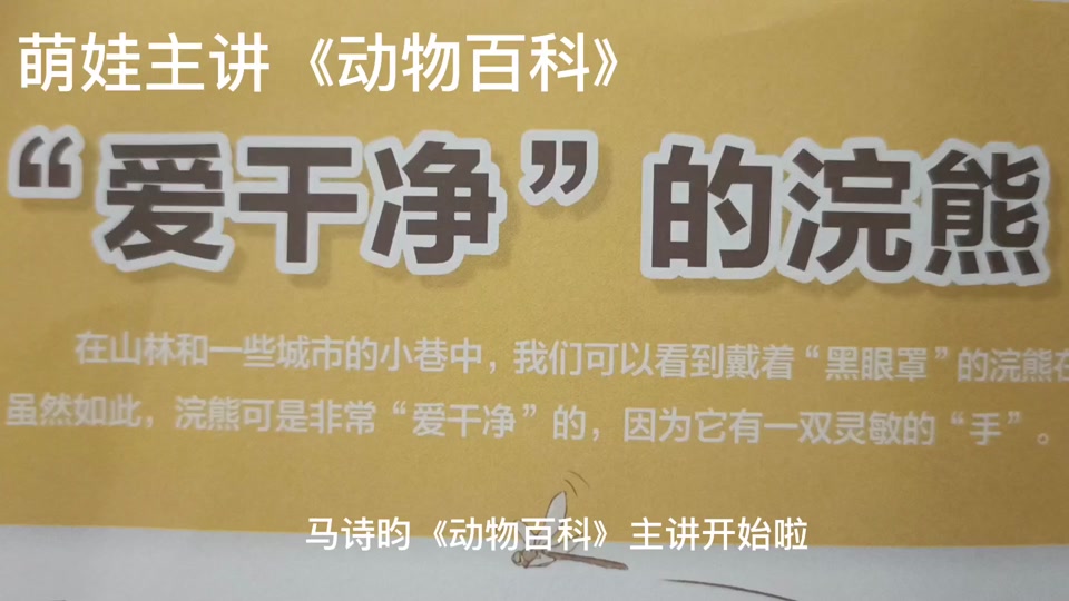 爱干净的浣熊中班音乐 - 抖音