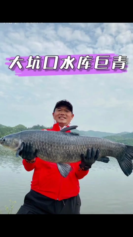 江西大坑口水库怎么收费 - 抖音