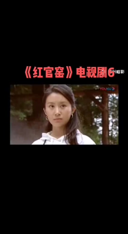 夏一墨夏宝昌父子相认_夏宝昌夏一墨是哪部电视_红官窑夏一墨父子相认