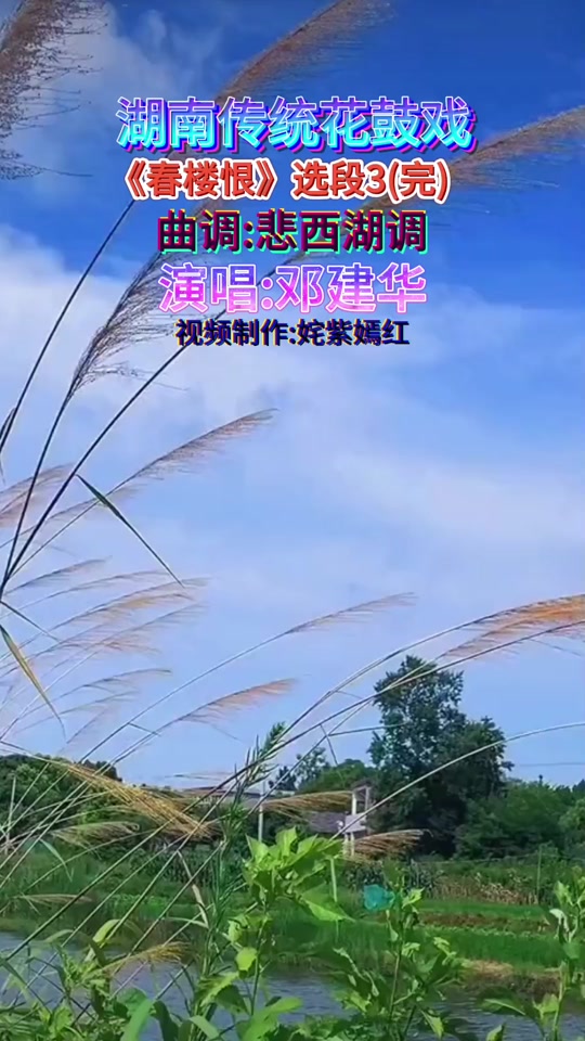 周春桃花鼓戏悲西湖