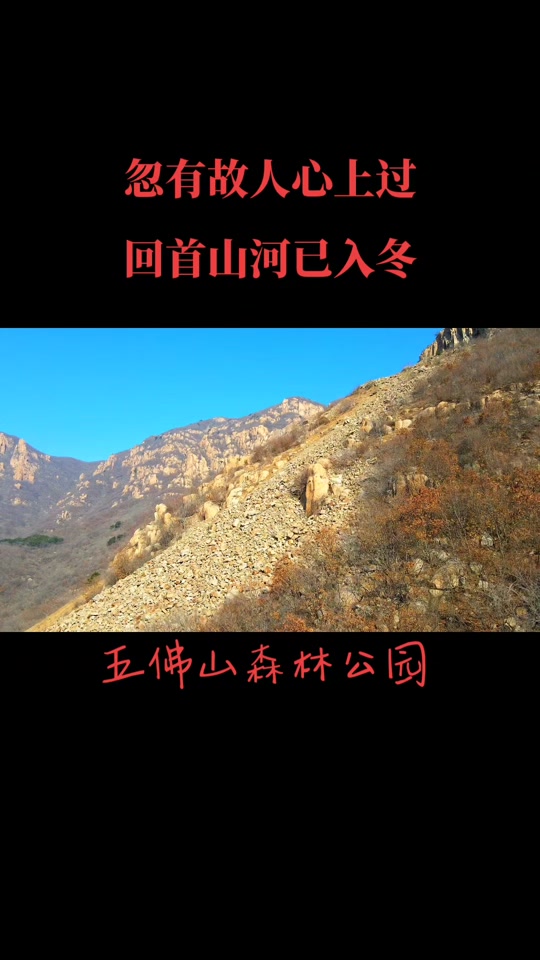 秦皇岛五佛山国家森林公园