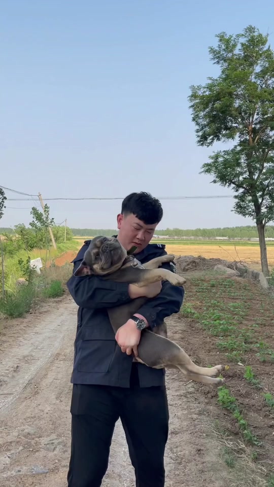 即墨于泽昌机子会发光_青岛于泽昌是谁