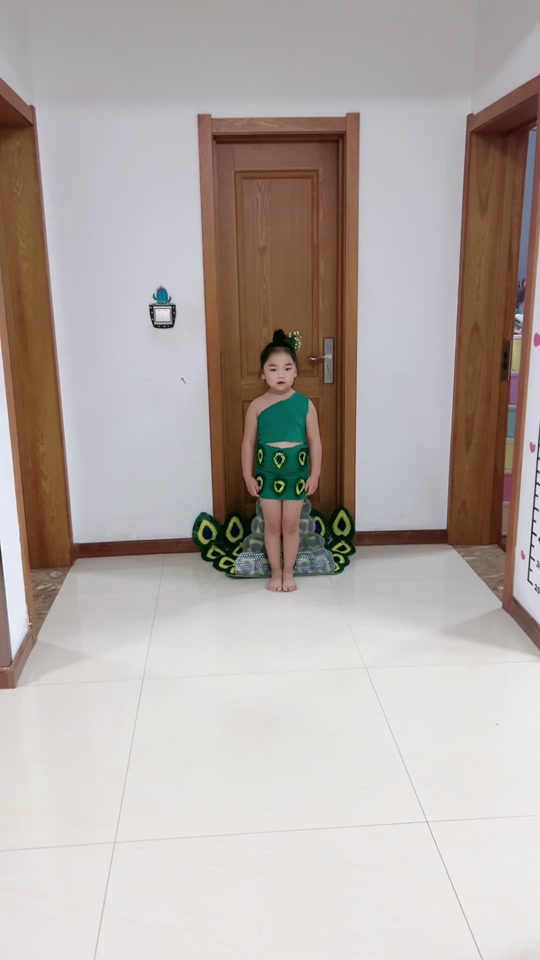 环保时装秀衣服孔雀