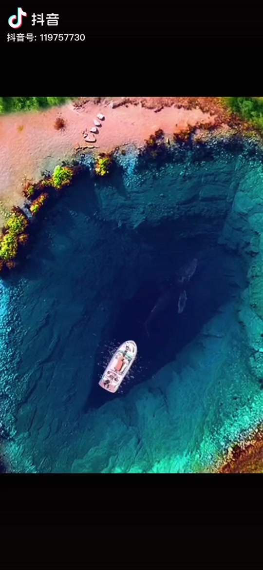 地球之眼有鱼吗_地球之眼真有鲸鱼吗_地球有什么鱼 - 抖音