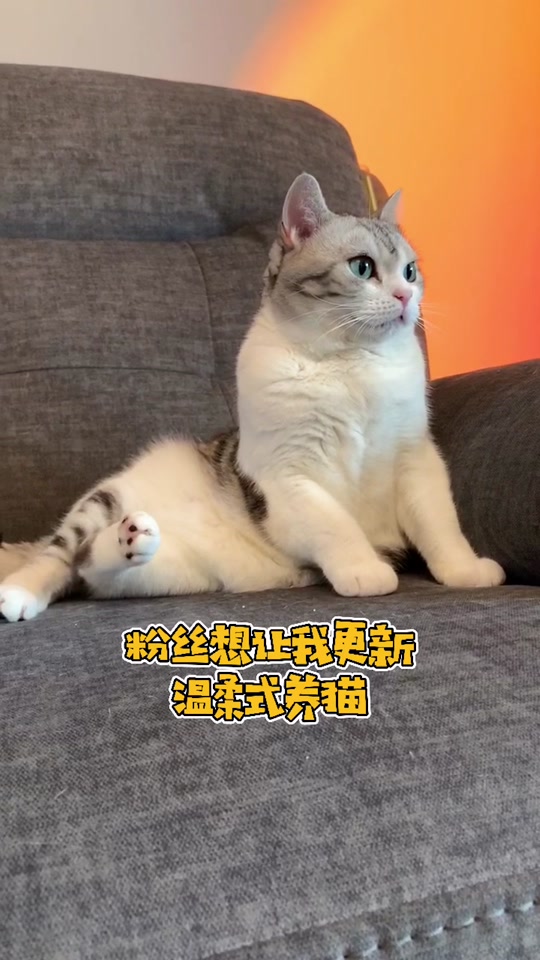 河卜卜和momo老花_河momo的卜卜酱_河卜卜的momo花泽类3岁 - 抖音