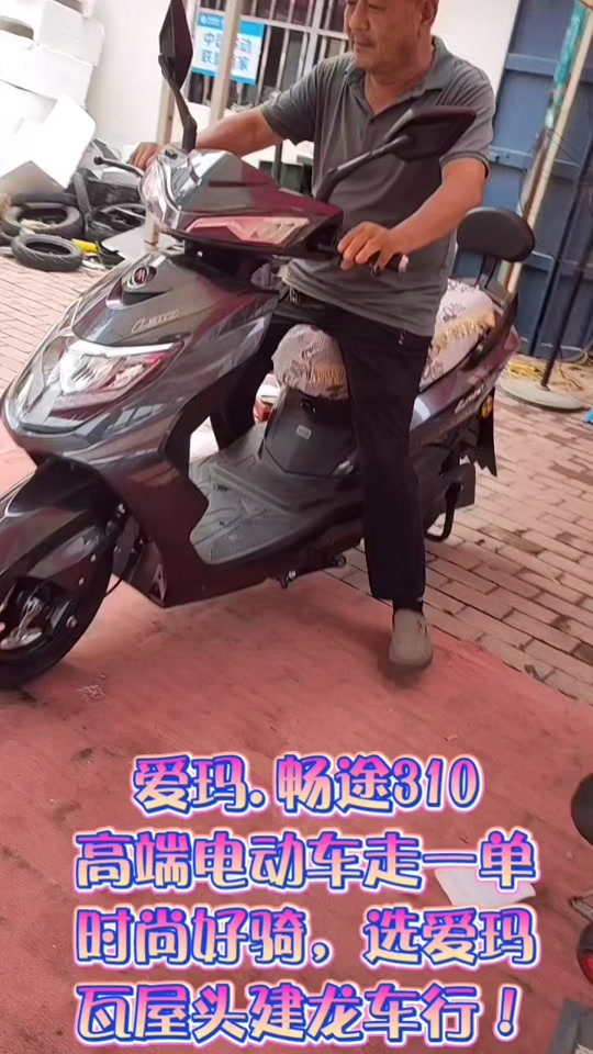 爱玛畅途l310旗舰版和基础版区别