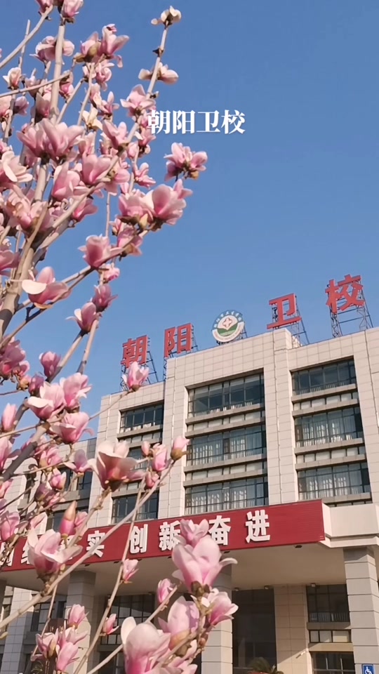 朝阳市卫生学校3 2招生要求 - 抖音