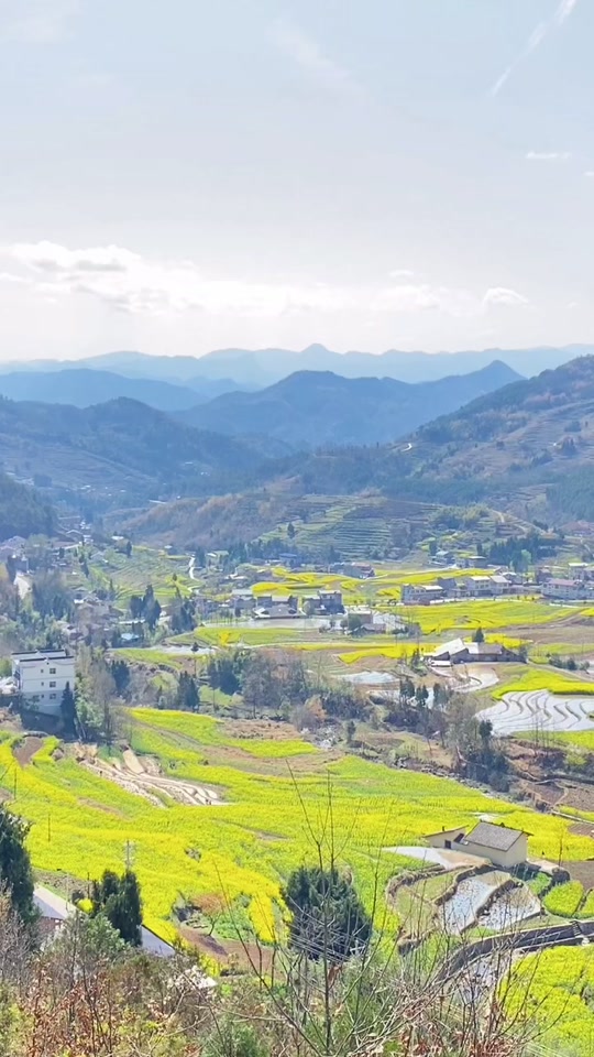 汉阴县油菜花节2023年开幕式