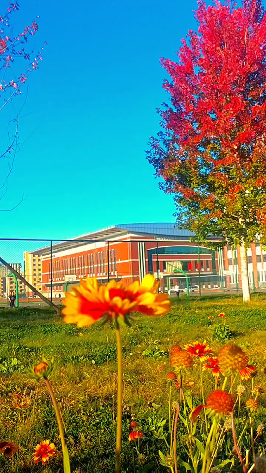 ѧԺٶȰٿ_ѧԺô_ѧԺ