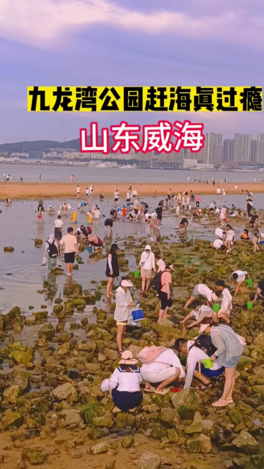 2023威海九龙湾公园赶海涨潮时间