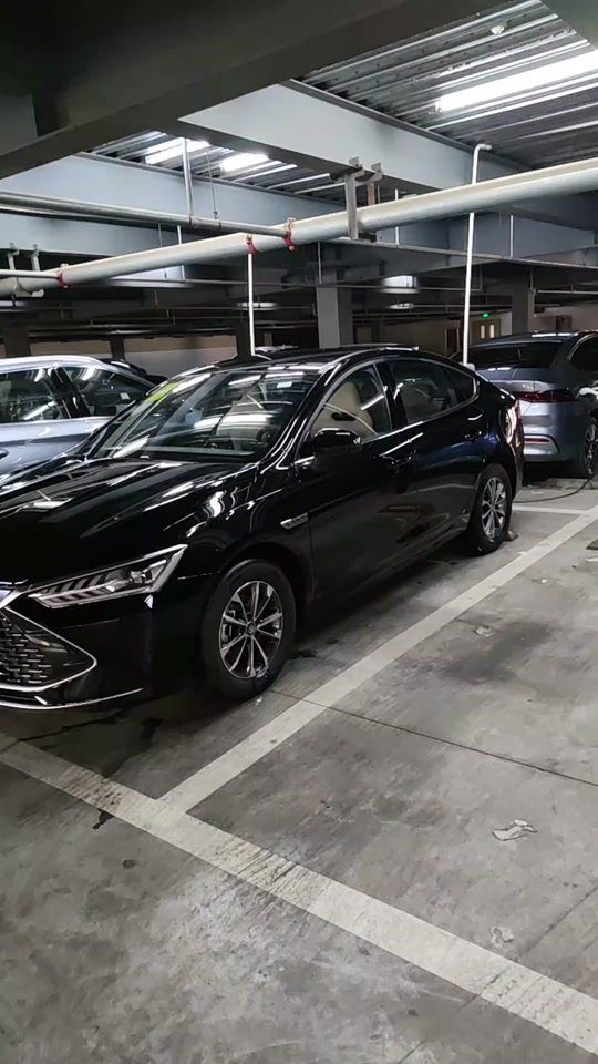 比亚迪 #新能源汽车 #秦plus冠军版 黑色的秦都见过 黑色的998版本的