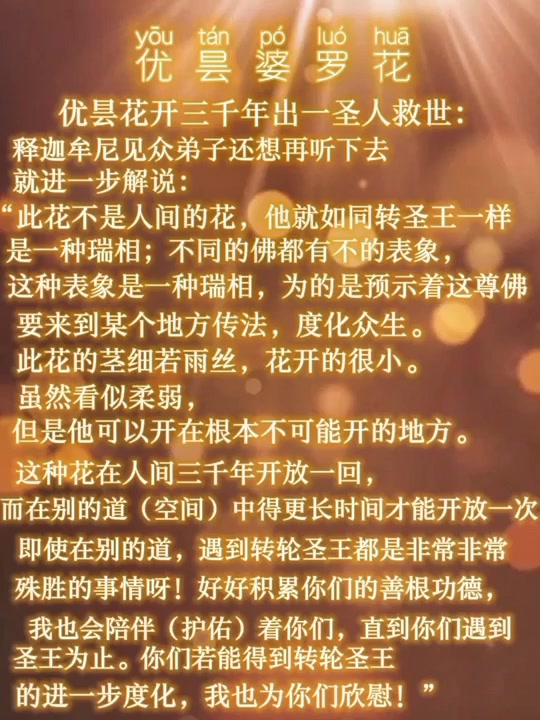 优昙婆罗花_优昙婆罗花开意义重大之预言_优昙婆罗花开 圣人归来 - 抖