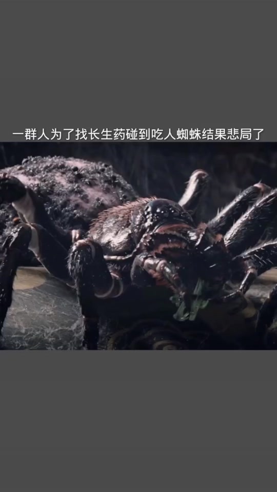 谜巢结局小女孩吐蜘蛛是什么意思 - 抖音