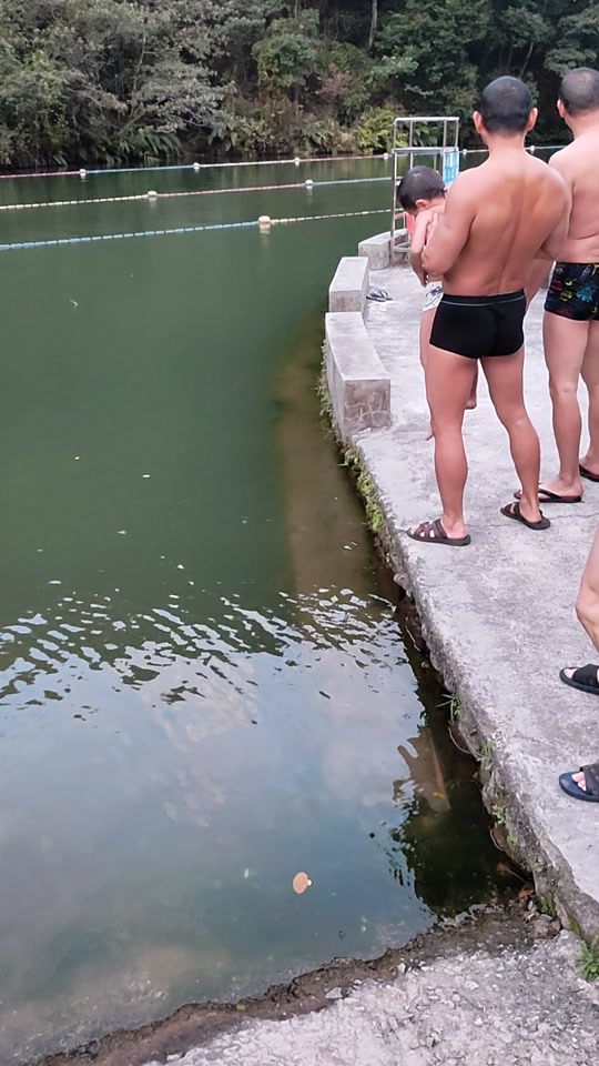 陈苏伟游泳视频大全_游泳视频大全视频