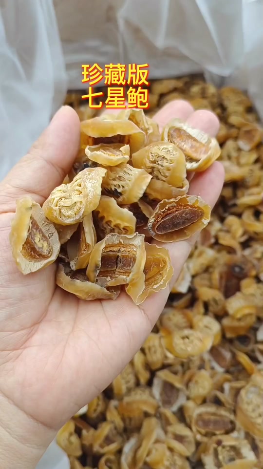 石鳖为什么不能吃_海石鳖多少钱一斤_七星鲍鱼是不是石鳖 - 抖音