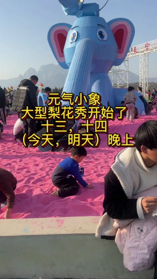 河南郑州梨花秀俱乐部_郑州市梨花秀演艺消费