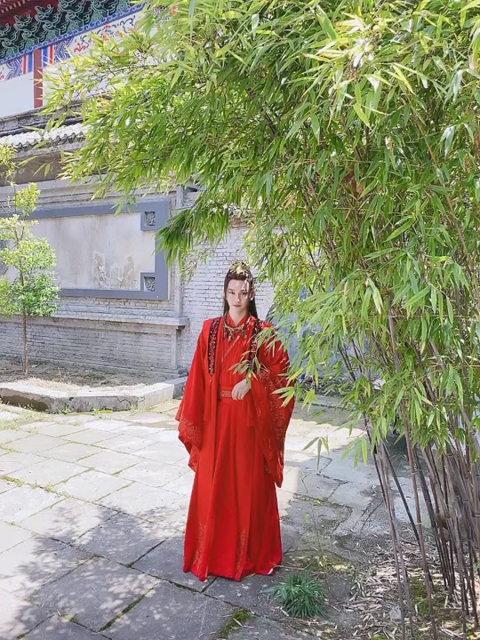 朱雀主木小乔_朱雀主木小乔结局