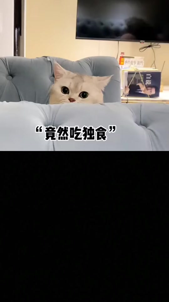 吃啥呢给我掰点猫猫表情包 - 抖音