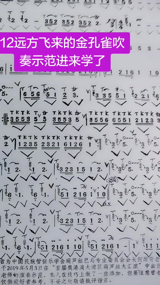 12_欧阳韵律葫芦丝教学侗乡之夜_欧阳韵律葫芦丝教学美丽的金孔雀唱谱