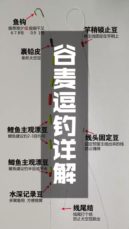 谷麦钓法教程_谷麦钓法逗钓线组搭配_谷麦钓法教程图解 - 抖音