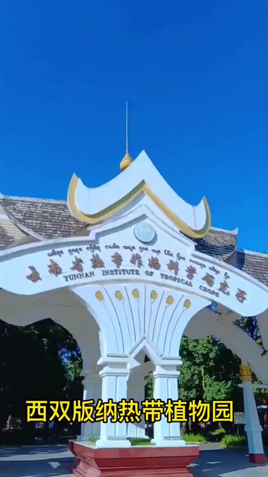 西双版纳勐仑植物园_西双版纳勐仑植物园简介_西双版纳勐仑植物园是