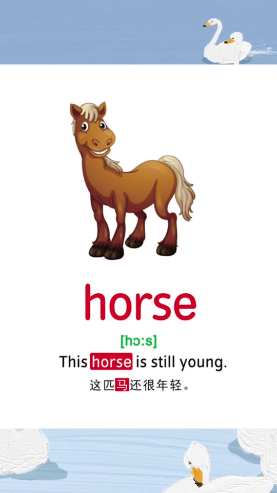 马的英文怎么读horse_房子的英文怎么读