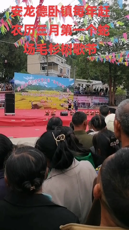 今年三月三赶德卧毛杉树吗 - 抖音
