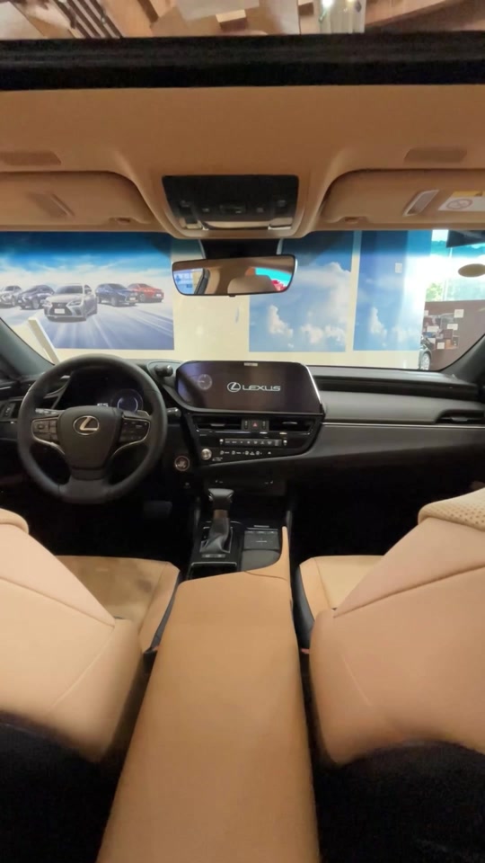 雷克萨斯es200秋山栗色内饰 - 抖音