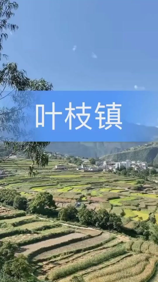 德钦搬迁原因 - 抖音