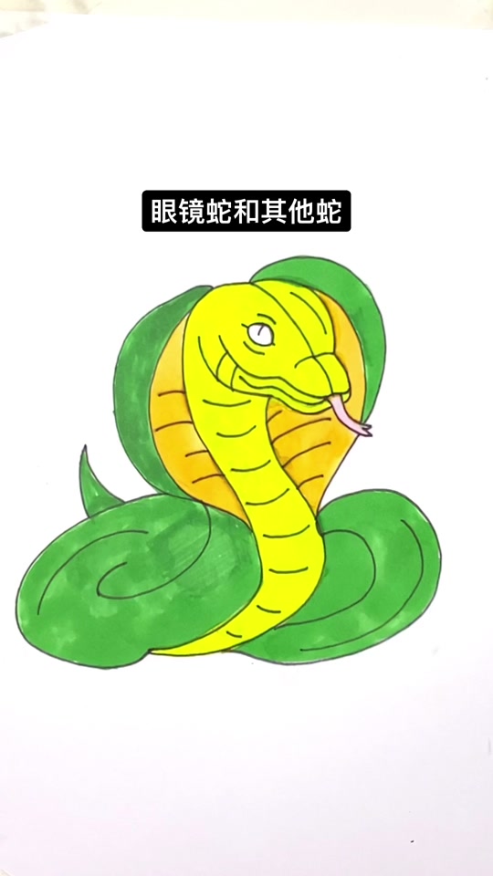 灵蛇游目眼镜蛇简笔画