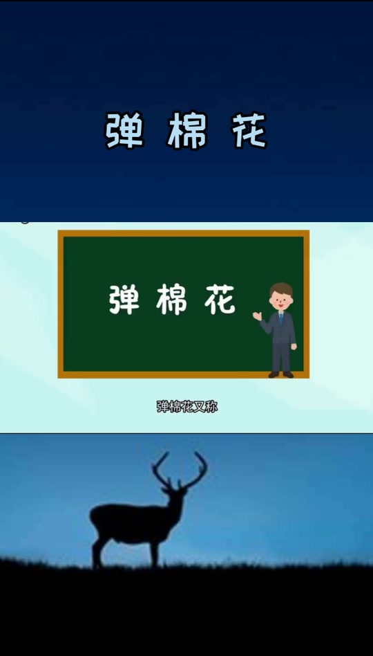 弹棉花机器原理图解_弹棉花的原理是什么意思