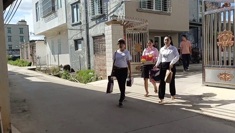 廉江那良村庞春伟别墅拆除