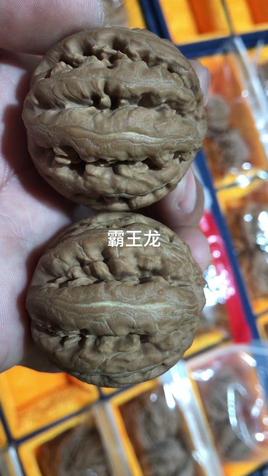 文玩核桃霸王龙 - 抖音