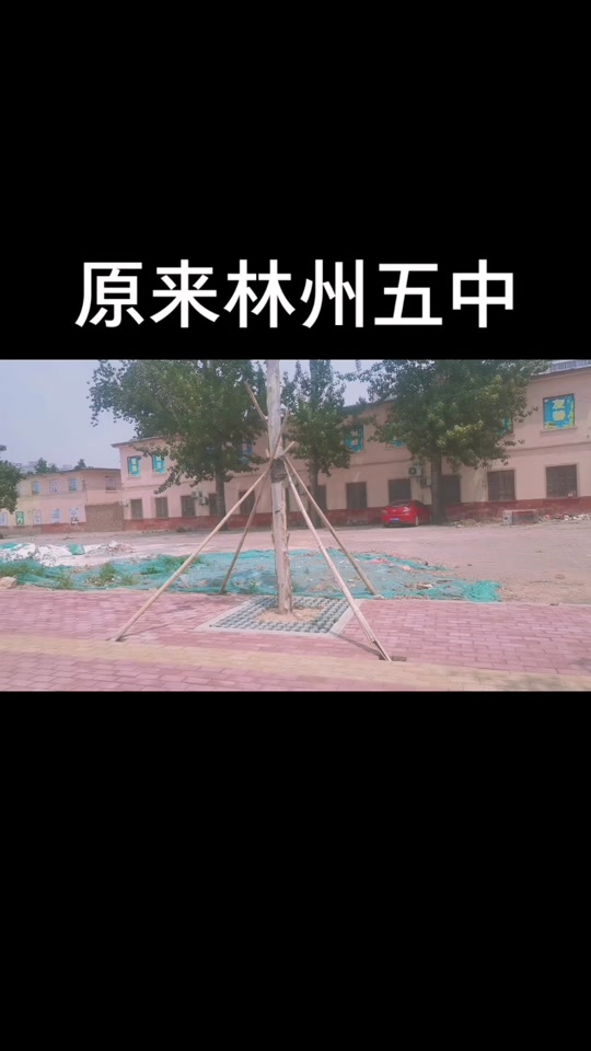 2024年林州五中今年报考人数多少 - 抖音