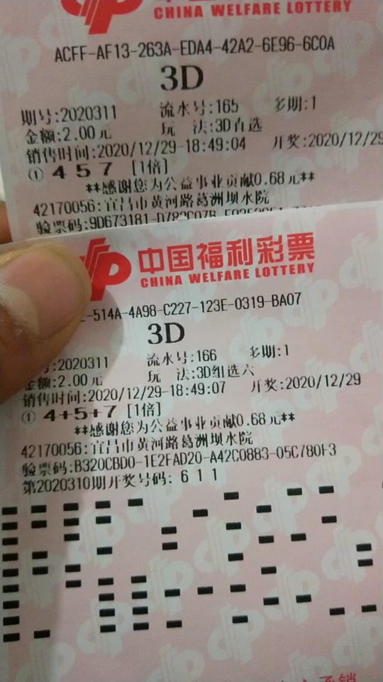 3d今天晚上出什么号了