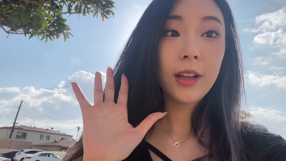 睿塔塔和一坨小红花