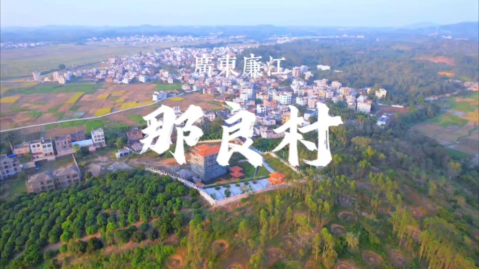 廉江那良村庞春伟别墅拆除