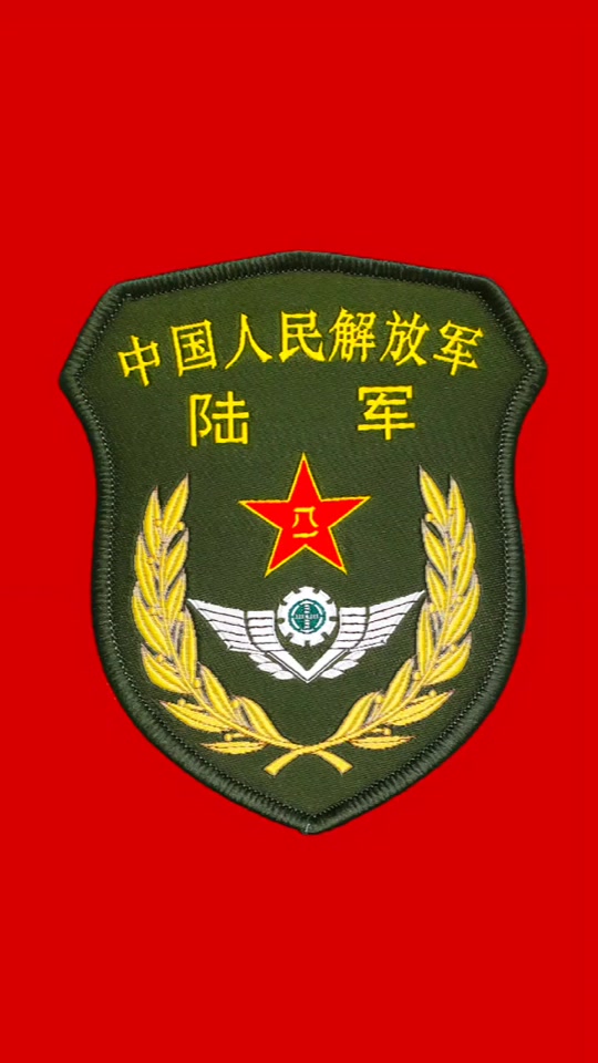 国旗臂章是什么部队 - 抖音