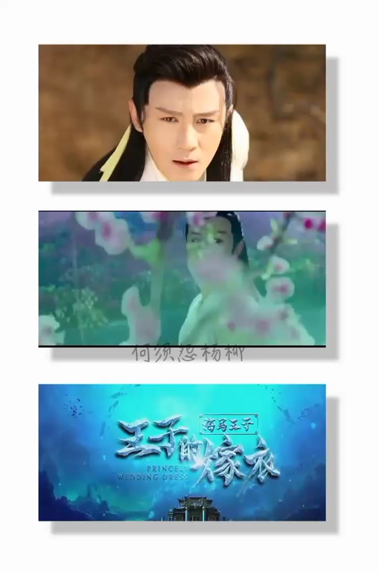 张倬闻和柴碧云结婚