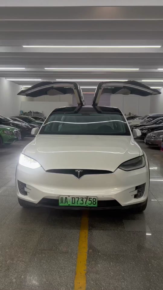 特斯拉鸥翼门是哪款车 - 抖音