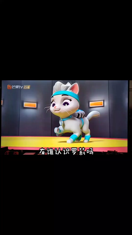 千年木塔有自己的喵喵队和汪汪队
