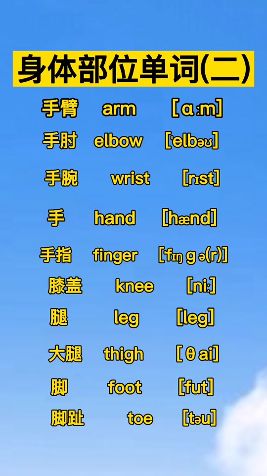 胳膊肘英语怎么读语音