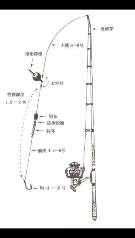 540_952竖版 竖屏