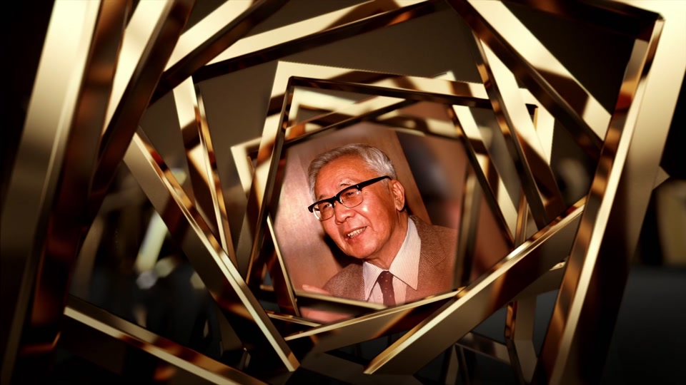 数学家华罗庚海报